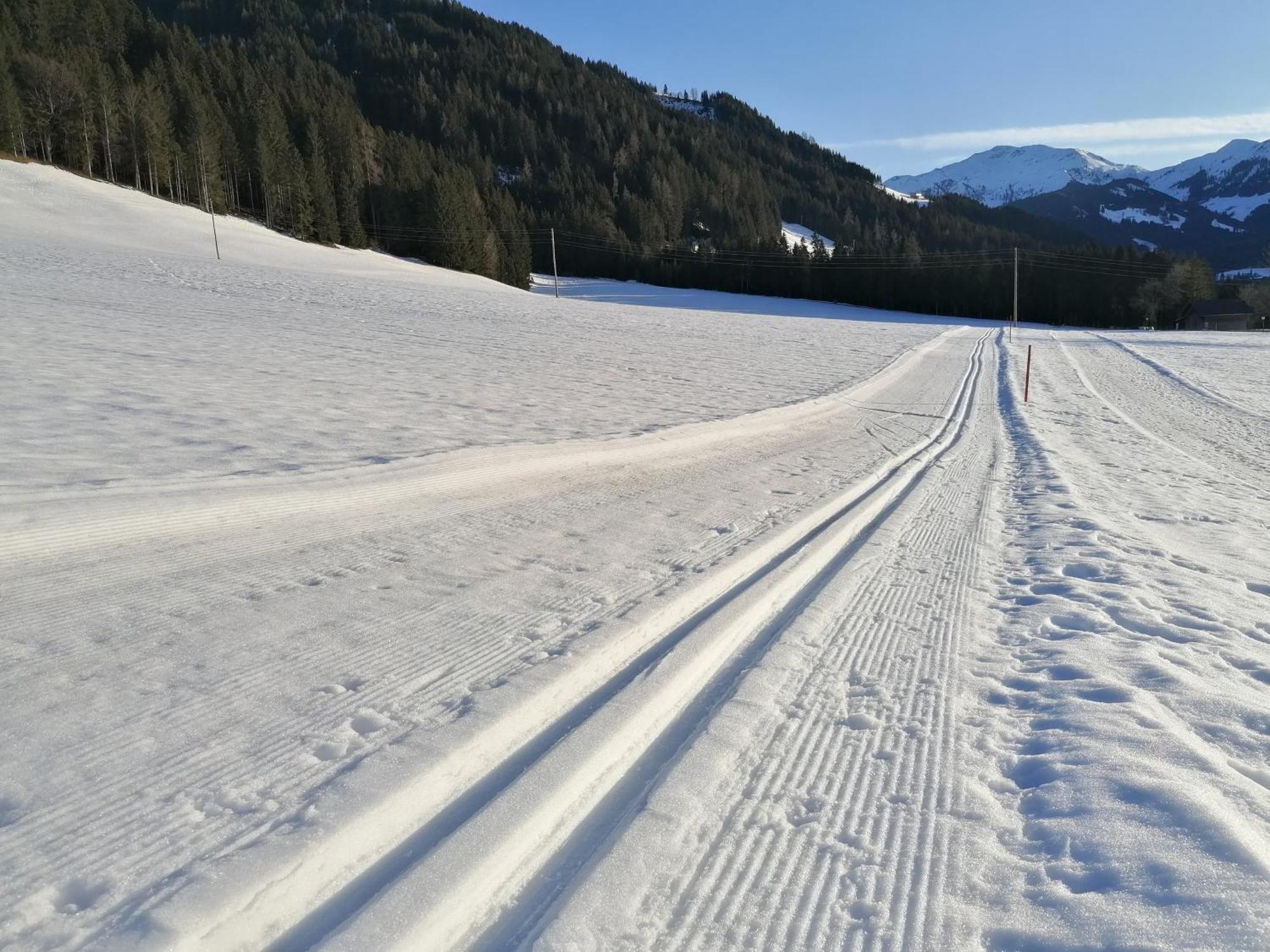 Wimmers Hundsegghof Wild001 Niederau Εξωτερικό φωτογραφία