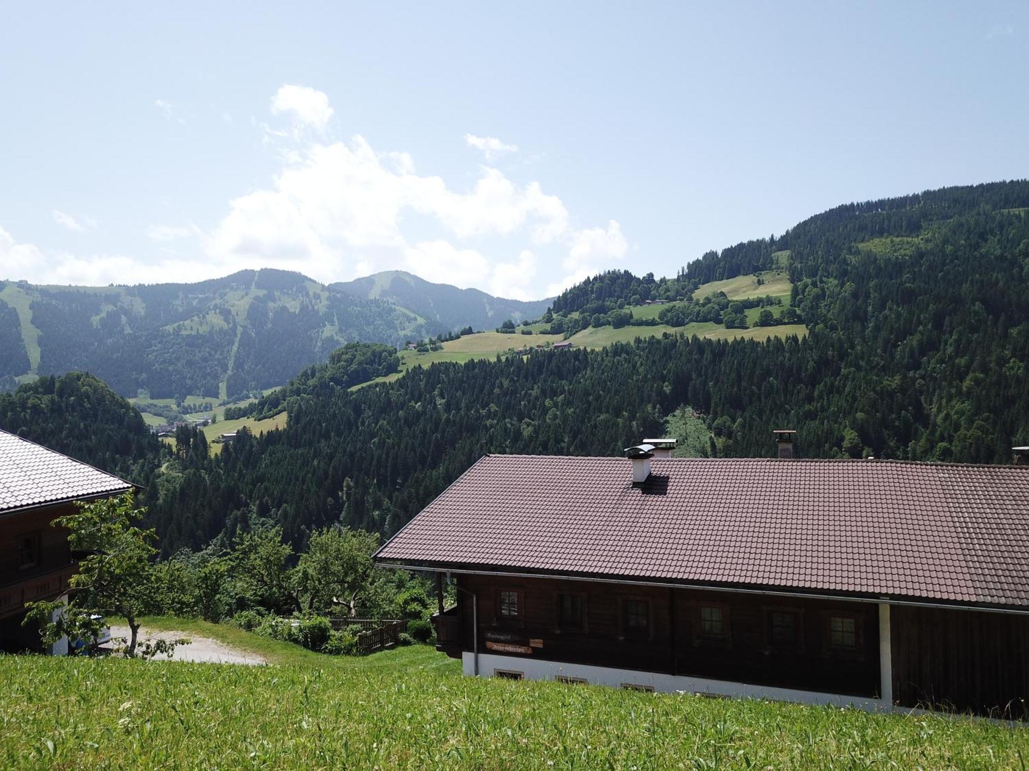 Wimmers Hundsegghof Wild001 Niederau Εξωτερικό φωτογραφία